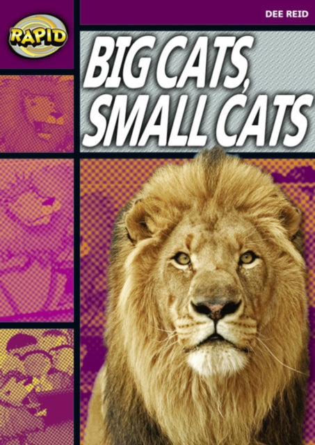 Book cover of: Rapid Reading: Big Cats Small Cats (Stage 1, Level 1A)
