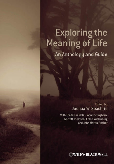 Book cover of: Exploring the Meaning of Life. By: Joshua W. Seachris