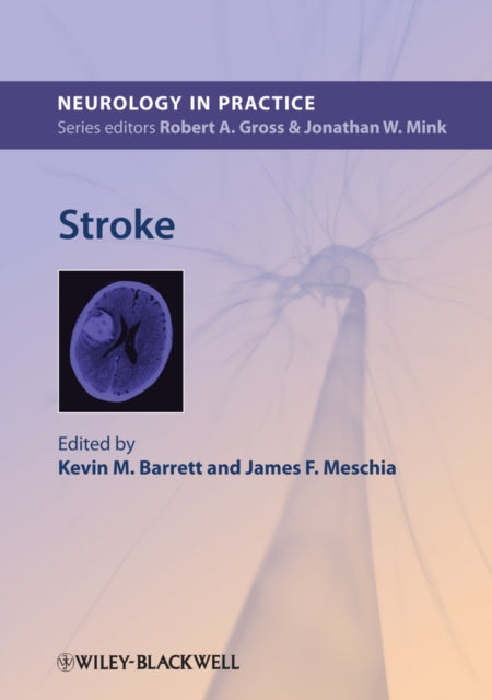 Book cover of: Stroke