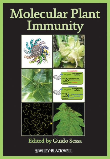 Book cover of: Molecular Plant Immunity. By: Guido Sessa