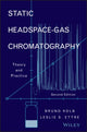Book cover of: Static Headspace-Gas Chromatography