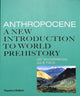 Book cover of: Anthropocene. By: Joy McCorriston