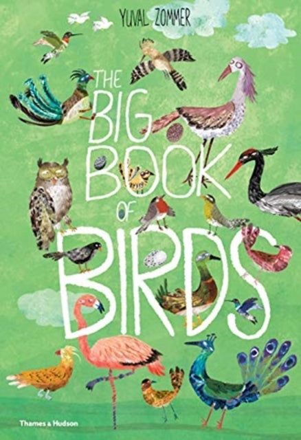 Big Book of Birds 9780500651513 Barbara Taylor