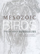 Book cover of: Mesozoic Birds