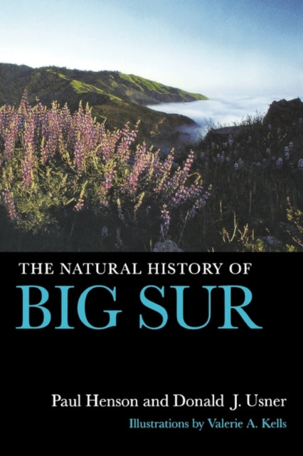 Book cover of: Natural History of Big Sur. By: Paul Henson