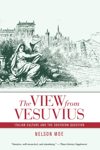 Book cover of: View from Vesuvius. By: Nelson Moe