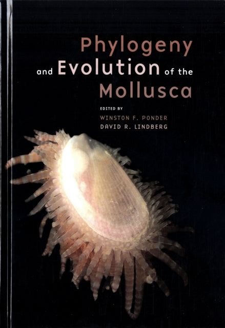 Book cover of: Phylogeny and Evolution of the Mollusca