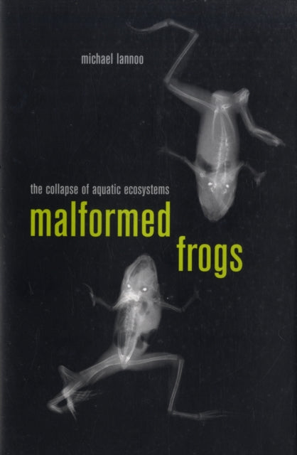 Book cover of: Malformed Frogs. By: Michael J. Lannoo