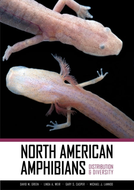 Book cover of: North American Amphibians