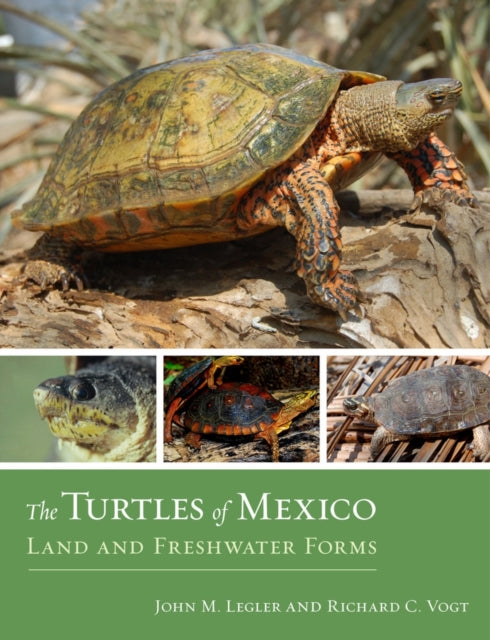 Book cover of: Turtles of Mexico. By: John M. Legler