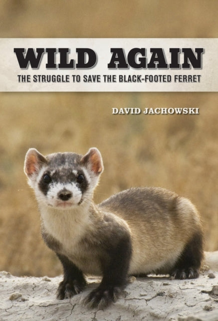 Book cover of: Wild Again. By: David Jachowski