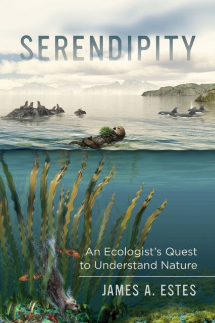 Book cover of: Serendipity. By: J. A. Estes