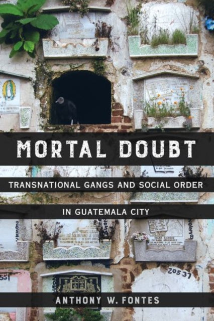 Book cover of: Mortal Doubt. By: Anthony W. Fontes