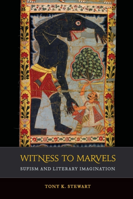 Book cover of: Witness to Marvels. By: Tony K. Stewart