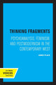 Book cover of: Thinking Fragments. By: Jane Flax