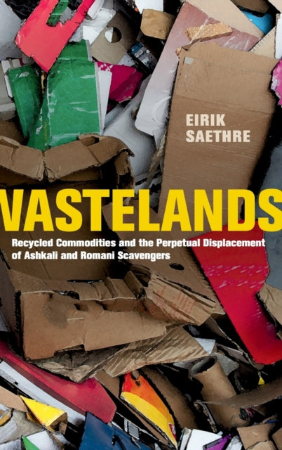 Book cover of: Wastelands. By: Eirik Saethre