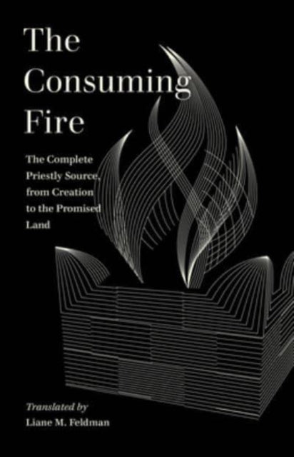 Book cover of: Consuming Fire. By: Liane Feldman