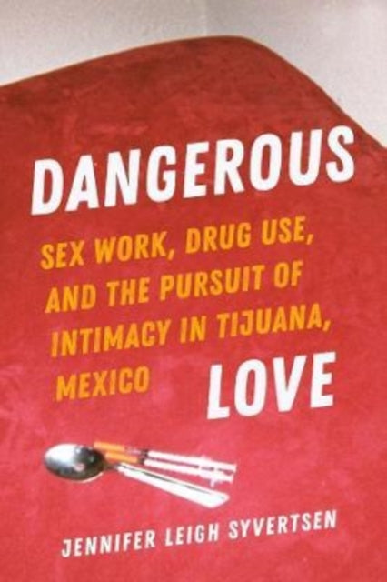Book cover of: Dangerous Love. By: Jennifer Leigh Syvertsen