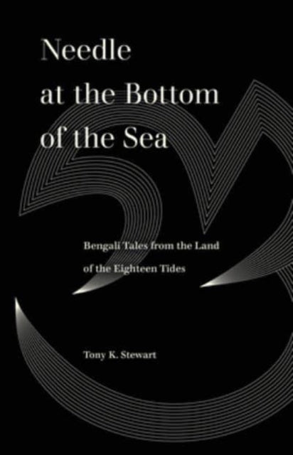 Book cover of: Needle at the Bottom of the Sea. By: Tony K. Stewart