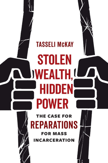 Book cover of: Stolen Wealth, Hidden Power. By: Tasseli McKay