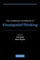 Book cover of: Cambridge Handbook of Visuospatial Thinking