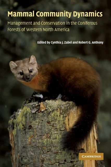 Book cover of: Mammal Community Dynamics