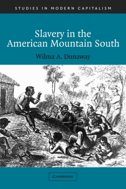 Book cover of: Slavery in the American Mountain South
