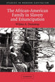 Book cover of: African-American Family in Slavery and Emancipation