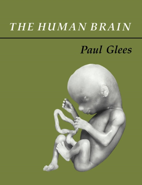 Book cover of: Human Brain. By: Paul Glees