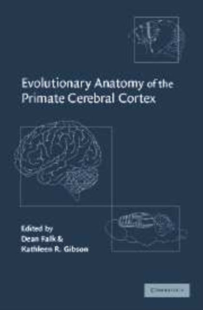 Book cover of: Evolutionary Anatomy of the Primate Cerebral Cortex. By: Dean Falk