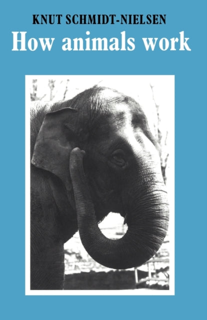 Book cover of: How Animals Work