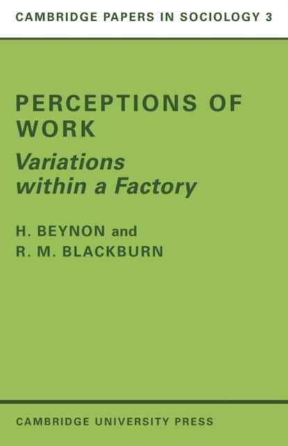 Book cover of: Perceptions of Work