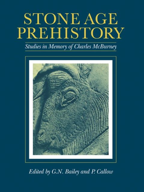 Book cover of: Stone Age Prehistory. By: G. N. Bailey