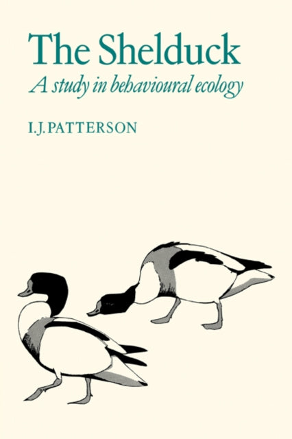 Book cover of: Shelduck. By: I. J. Patterson