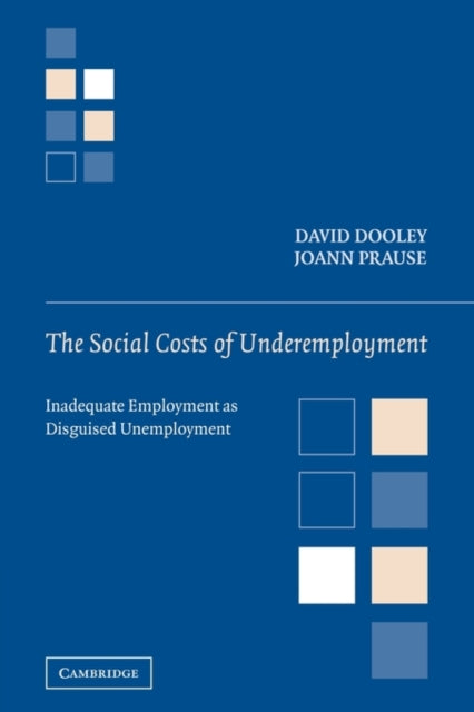 Book cover of: Social Costs of Underemployment. By: David Dooley
