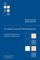 Book cover of: Social Costs of Underemployment. By: David Dooley