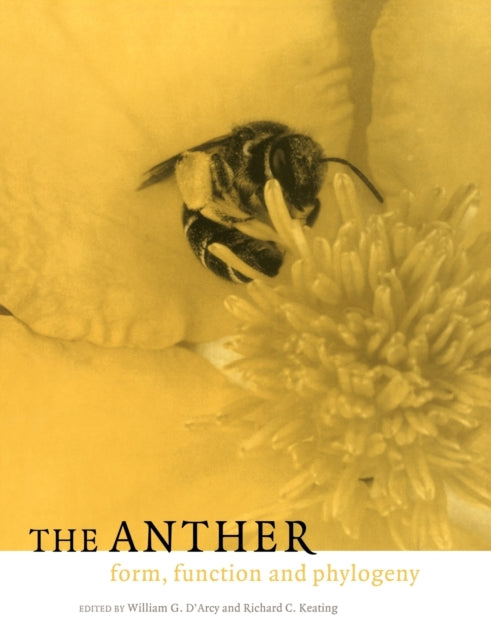 Book cover of: Anther. By: Japan) International Botanical Congress (1993 Yokohama-shi