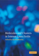 Book cover of: Molecules and Clusters in Intense Laser Fields. By: Jan Posthumus