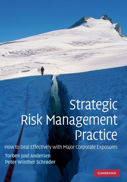 Book cover of: Strategic Risk Management Practice