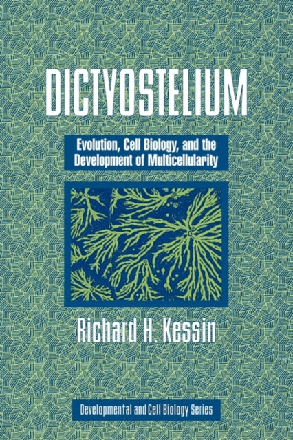 Book cover of: Dictyostelium. By: Richard H. Kessin