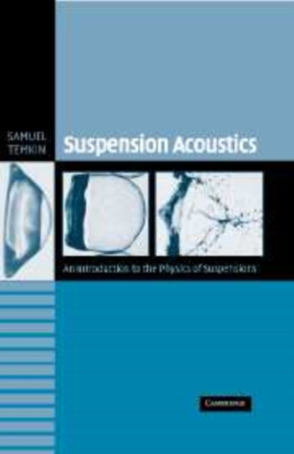 Book cover of: Suspension Acoustics. By: Samuel Temkin