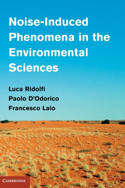 Book cover of: Noise-Induced Phenomena in the Environmental Sciences. By: Luca Ridolfi