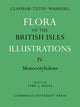 Book cover of: Flora of the British Isles. By: A. R. Clapham