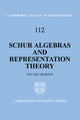 Book cover of: Schur Algebras and Representation Theory
