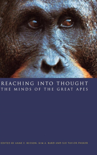 Book cover of: Reaching into Thought