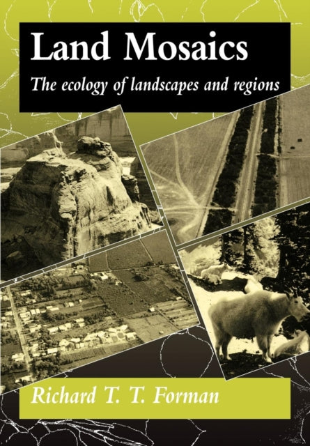 Book cover of: Land Mosaics