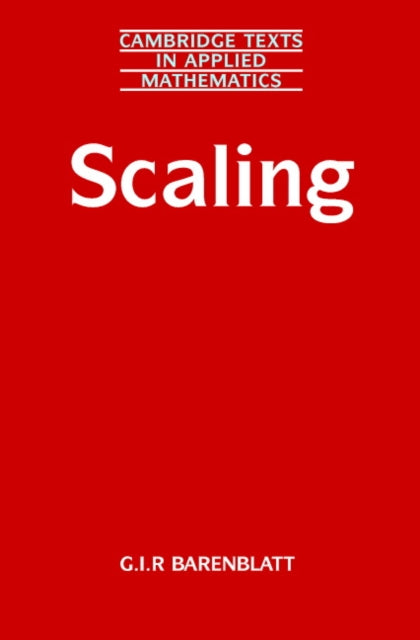Book cover of: Scaling