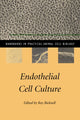 Book cover of: Endothelial Cell Culture