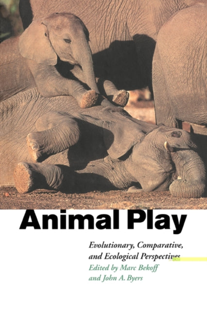 Book cover of: Animal Play