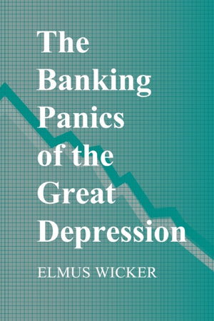 Banking Panics of the Great Depression